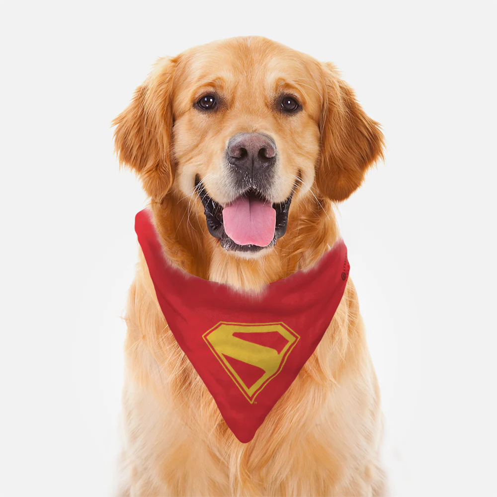 SUPERMAN (2025 Movie) S-Shield Red Pet Bandana