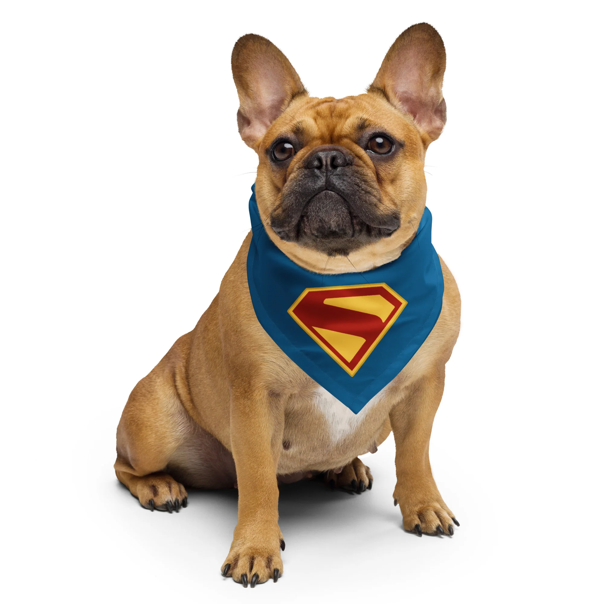 56-superman-2025-movie-s-shield-pet-bandana-1.webp SUPERMAN (2025 Movie) S-Shield Pet Bandana