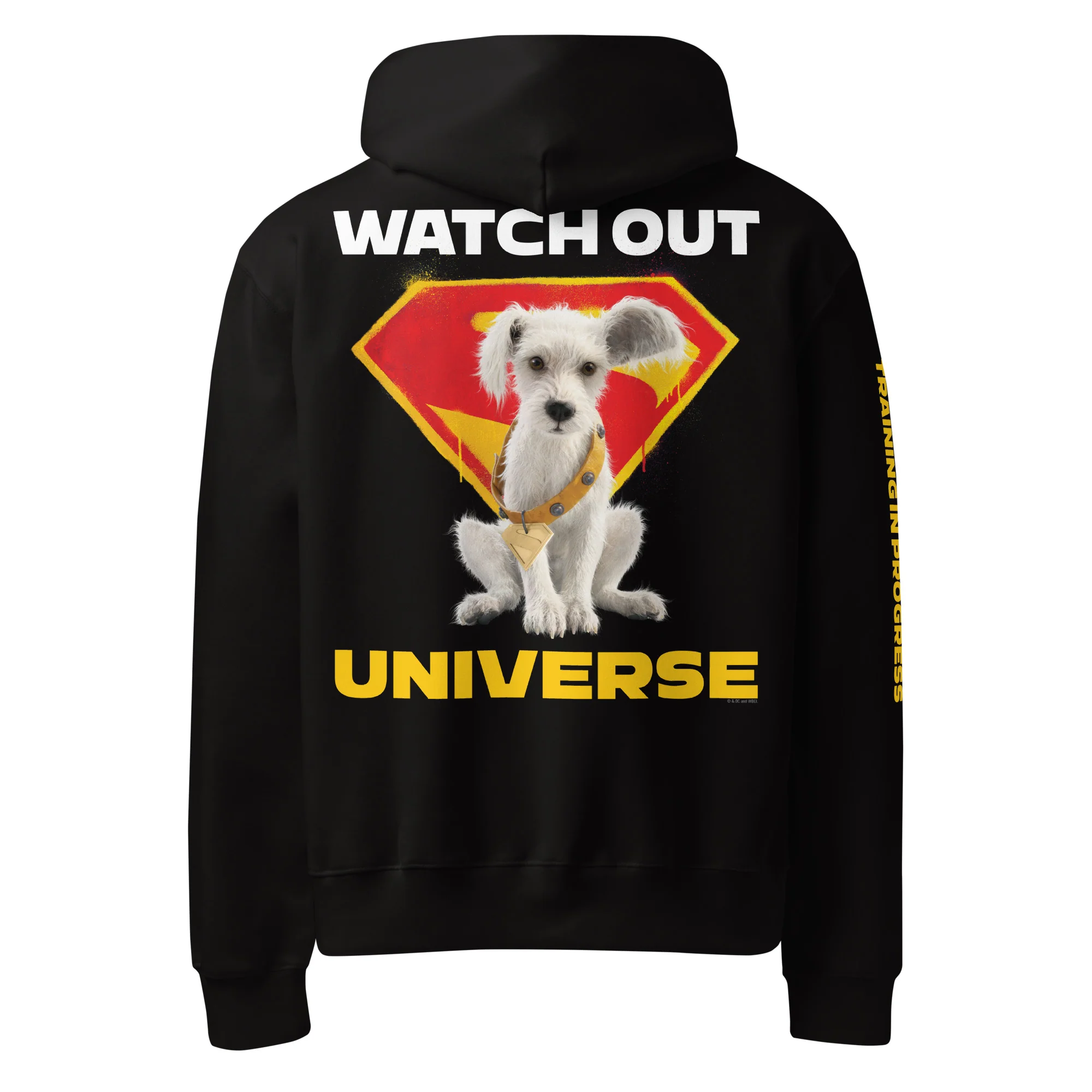 SUPERGIRL (2026) Puppy Krypto Oversized Heavyweight Hoodie